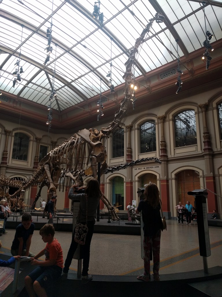 NHM Brachiosaurus