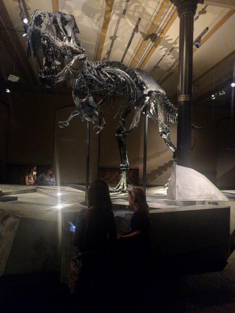 NHM Trex