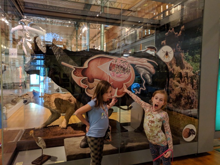 w2 symbiotic relationship