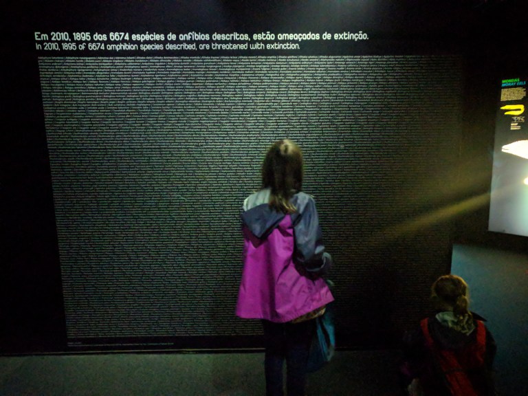 1 lisbon species list