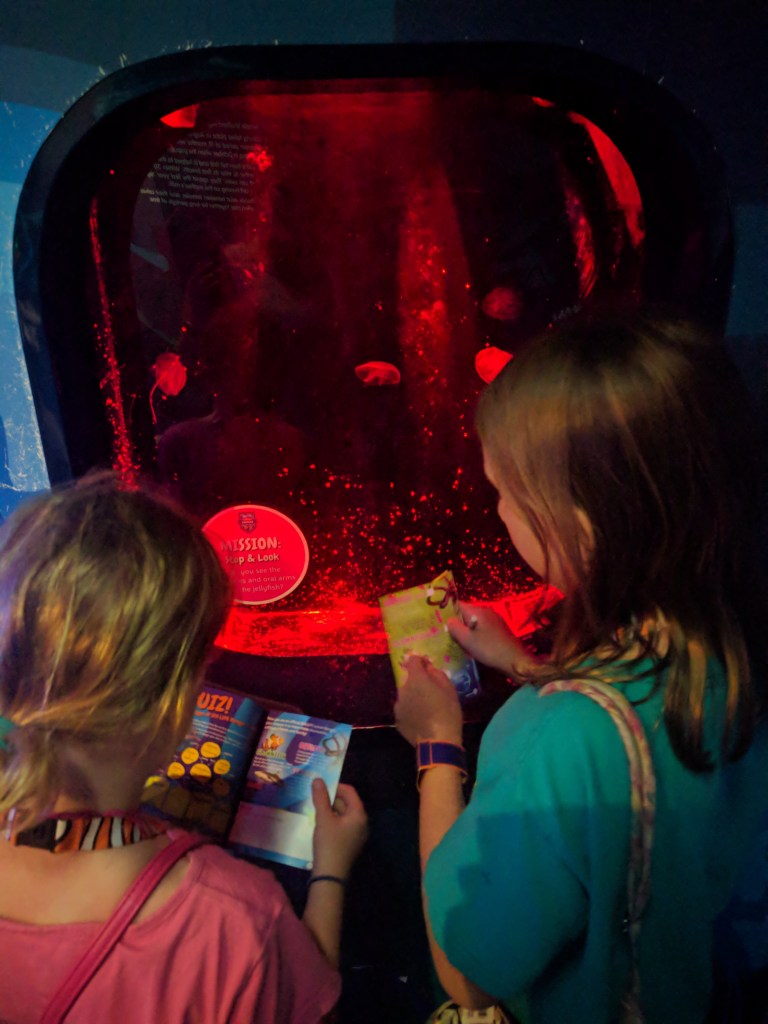 A Auckland Jellyfish Booklet