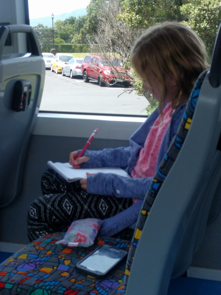 Auckland Bus notes