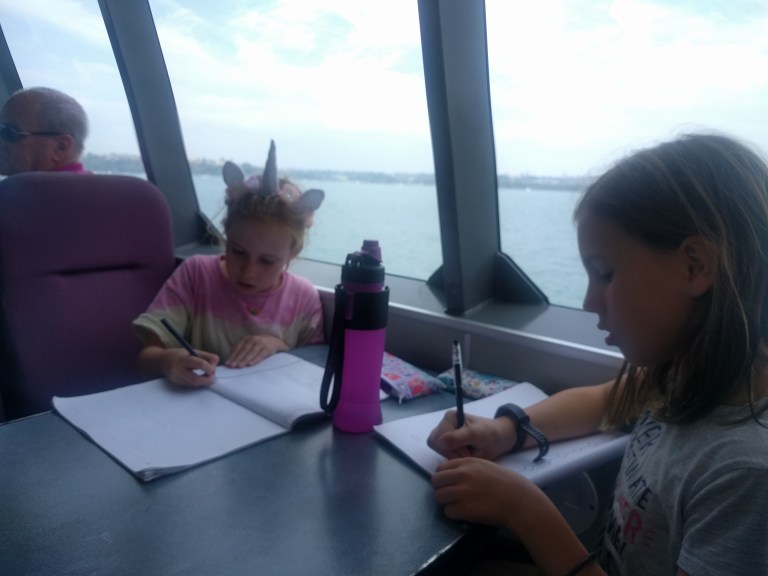 Auckland Harbor Cruise Notes