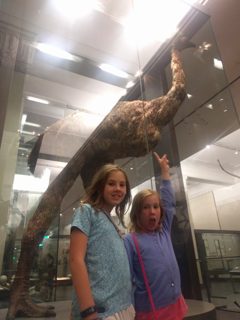 Auckland War Museum Moa