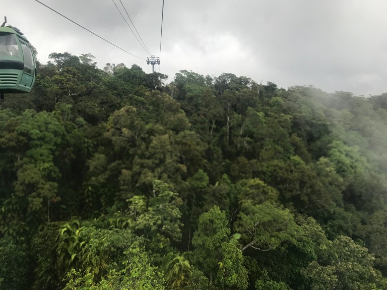 C rainforest gondola