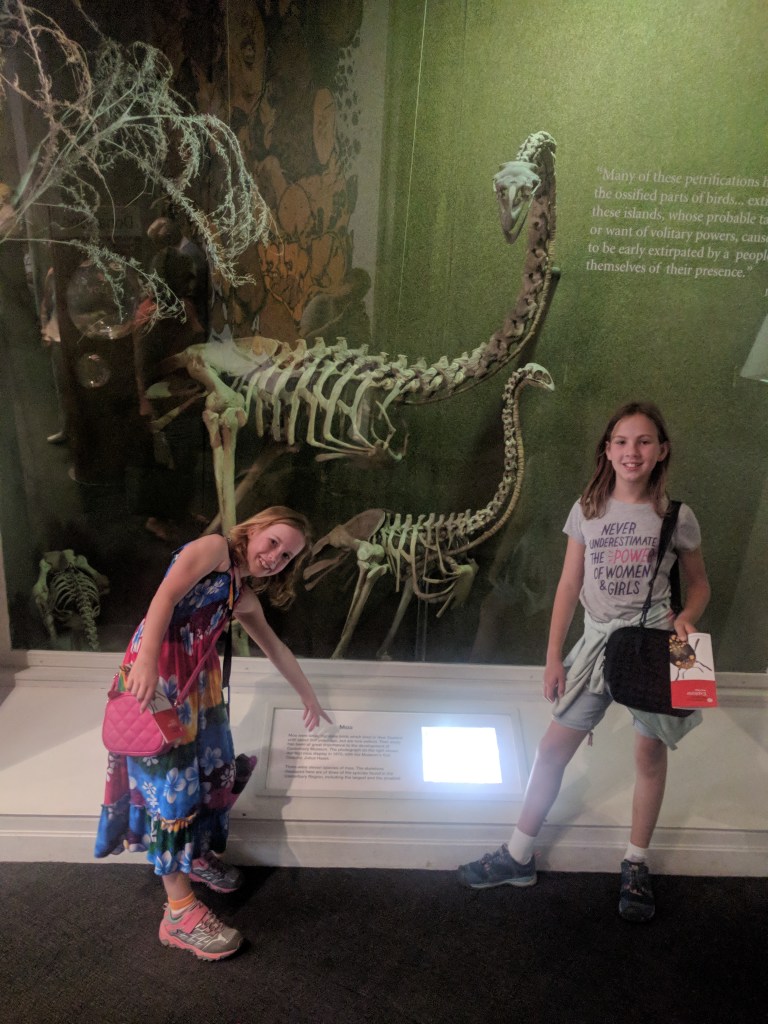 Christchurch moa skeleton