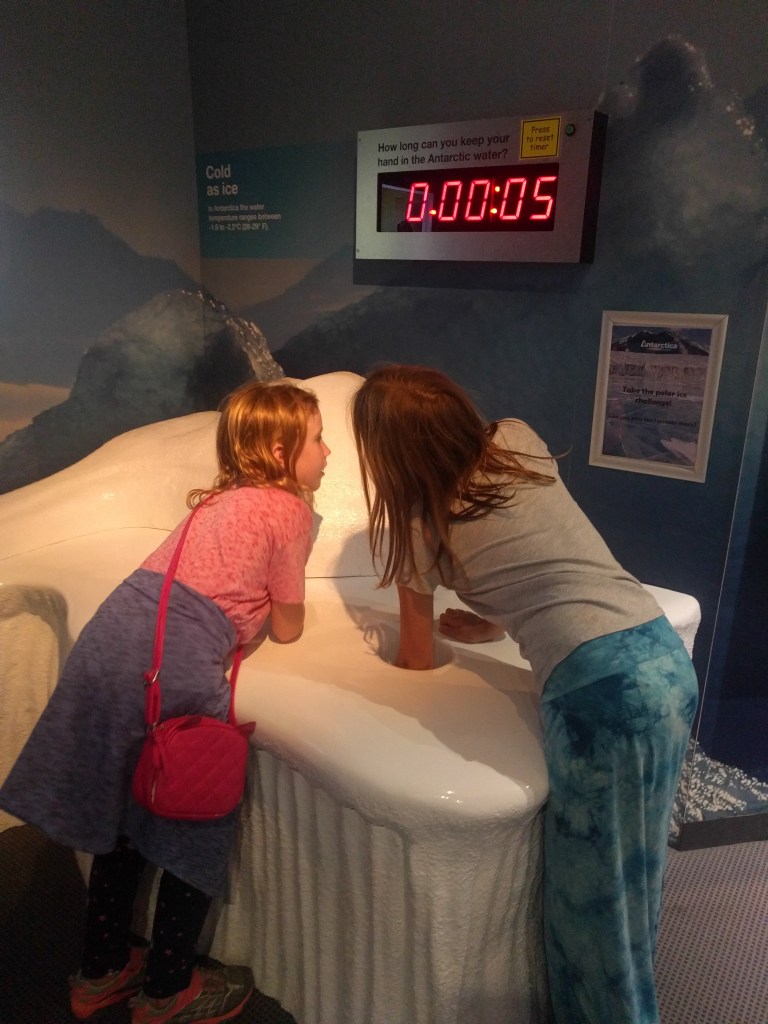 Christchurch polar plunge