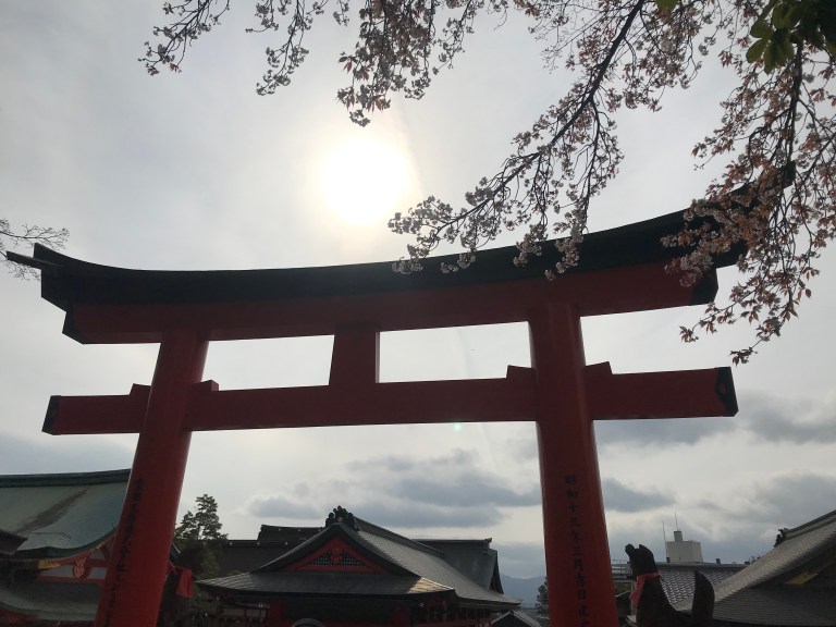 K Red Gate and blossoms