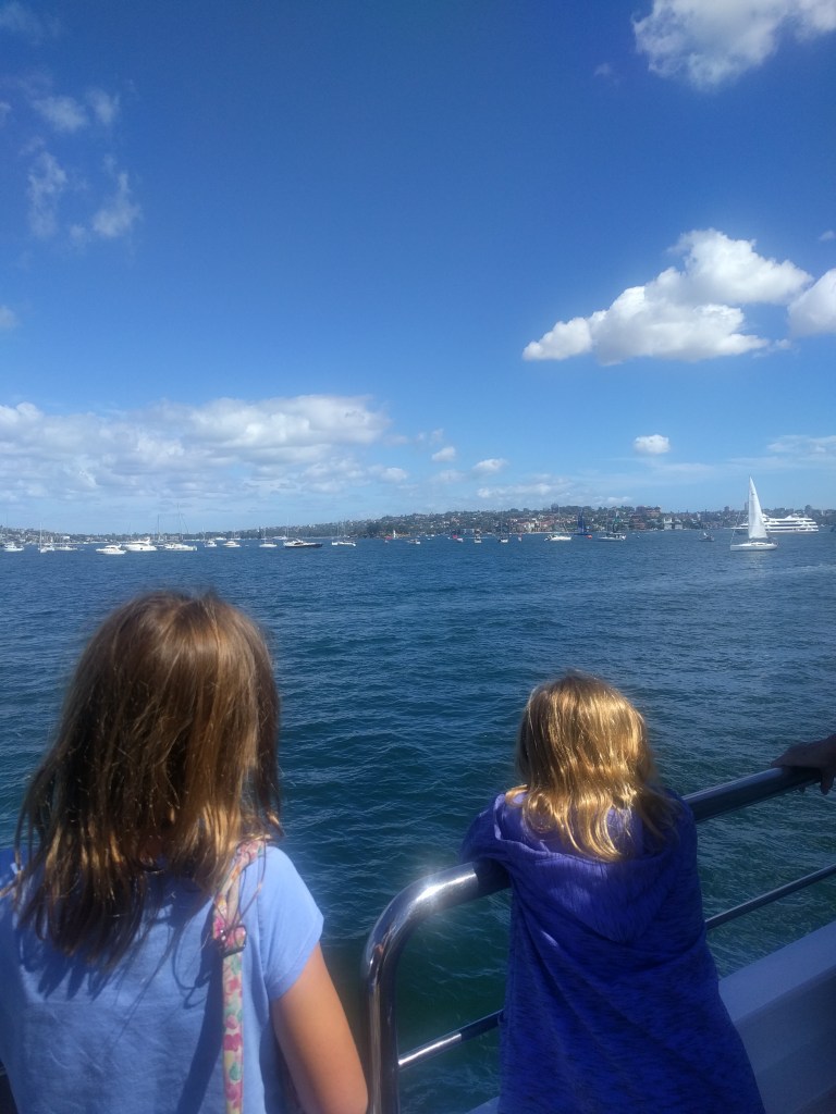 S1 Harbor Race watching