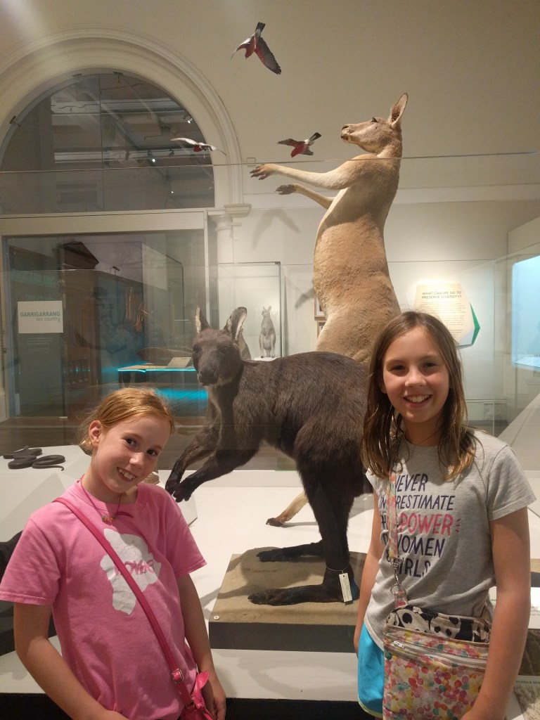 S2 kangaroo museum